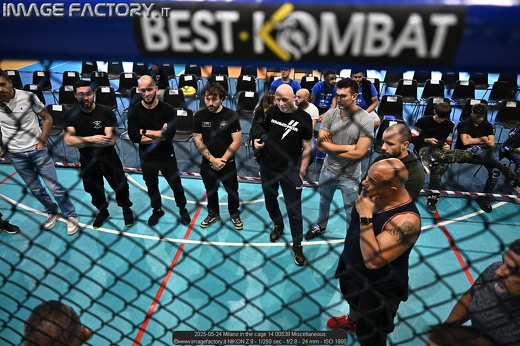 2025-05-24 Milano in the cage 14 00538 Miscellaneous